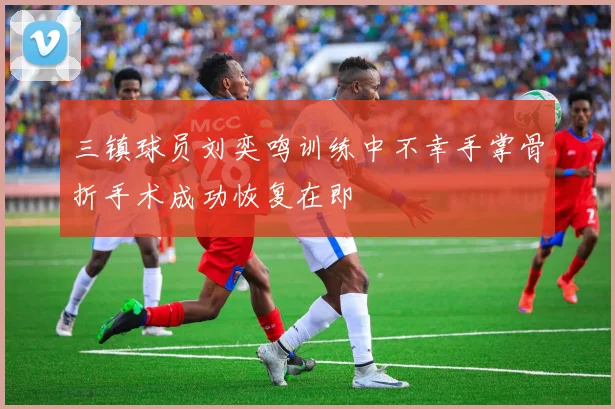 三镇球员刘奕鸣训练中不幸手掌骨折手术成功恢复在即