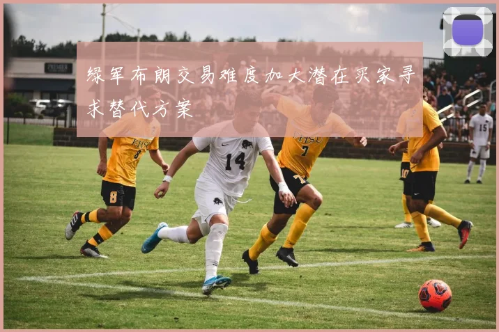 绿军布朗交易难度加大潜在买家寻求替代方案