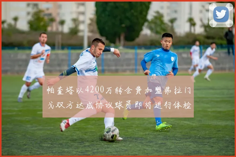 帕奎塔以4200万转会费加盟弗拉门戈双方达成协议球员即将进行体检