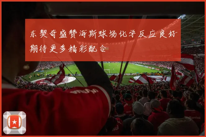 东契奇盛赞海斯球场化学反应良好期待更多精彩配合